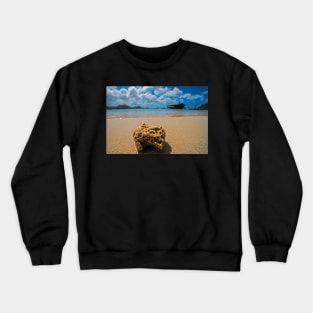 Coral on Gros Islet Beach Saint Lucia Caribbean Crewneck Sweatshirt